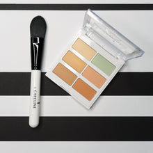 Careline Pro Conceal & Correct Kit