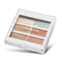 Careline Pro Conceal & Correct Kit